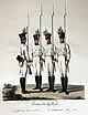 Österreichische Armee 1820 - Tafel 13