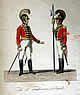 Österreichische Armee 1820 - Tafel 30