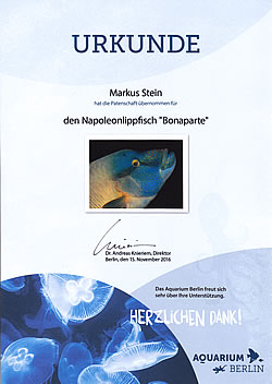 Patenschaftsurkunde des Aquarium Berln